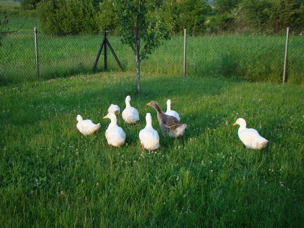 Pokoje Przy Kominie Piecki (Warmian-Masurian) Exterior foto